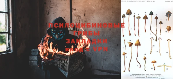 не бодяженный Алзамай