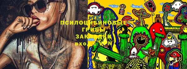 a pvp Алексин