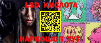 спайс Гай