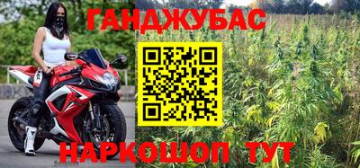 стаф Гагарин