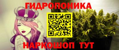 спайс Гай