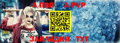 спайс Гай