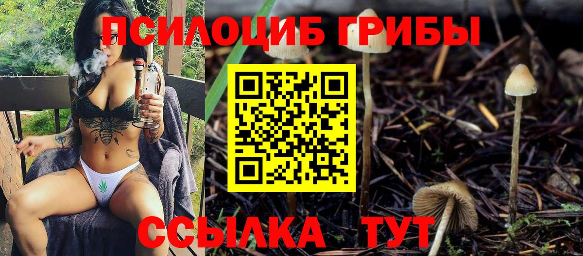 Псилоцибиновые грибы Psilocybine cubensis  Псилоцибиновые грибы GOLDEN TEACHER  Вход с VPN  Миллерово 